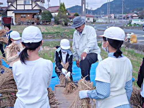 アイキャッチ: 板城小　いもほり＆稲刈り・稲こぎ