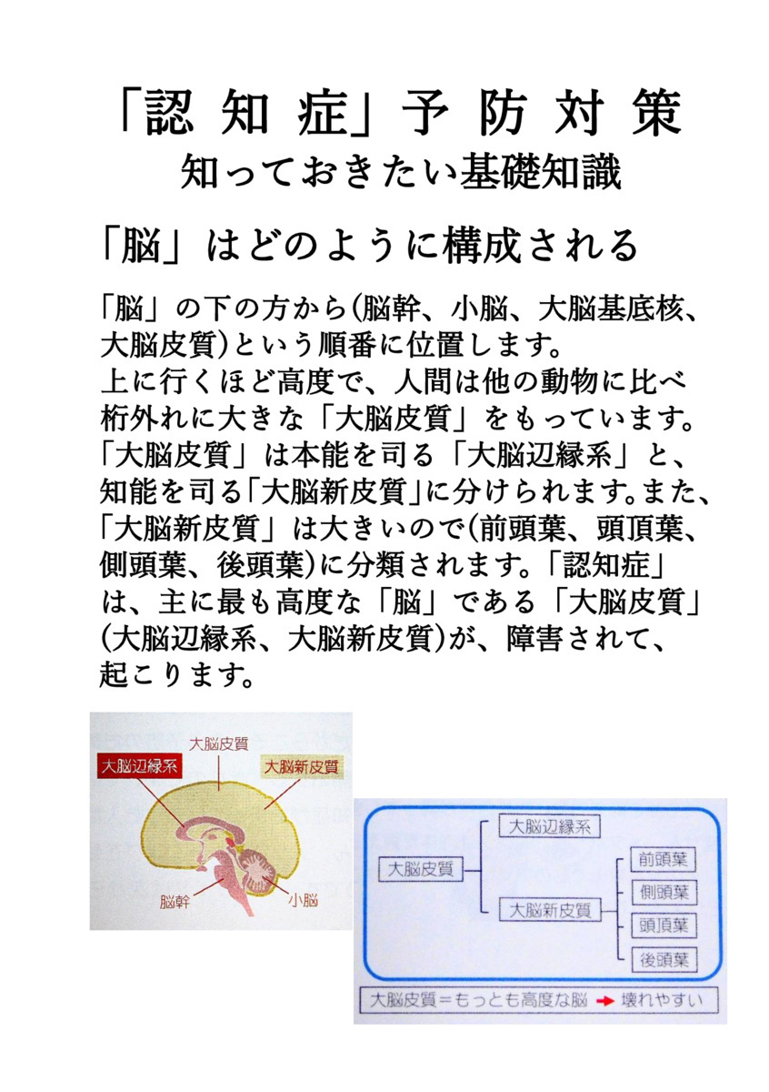 画像: 0016-  '23年版・ (知っておきたい基礎知識) (000B).pdf
