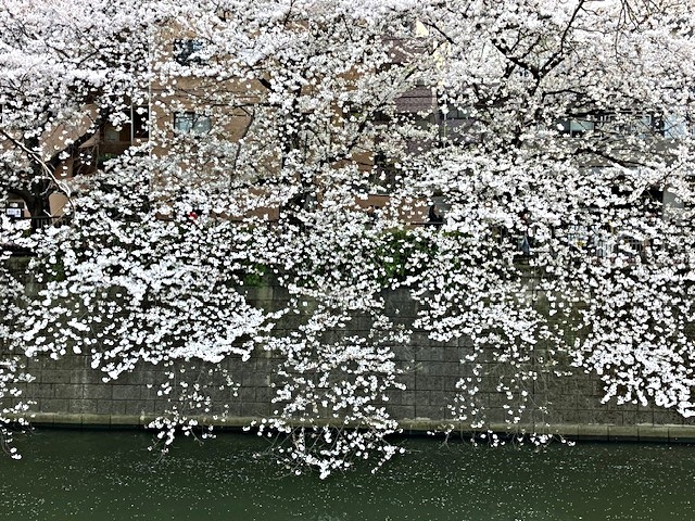 アイキャッチ: 新入園児のお友達、こんにちは!