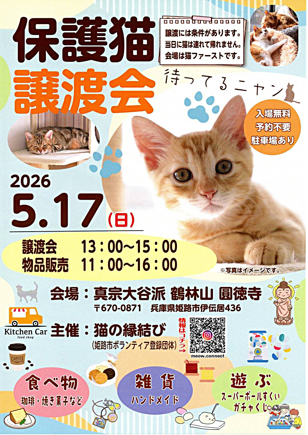 保護猫の譲渡会