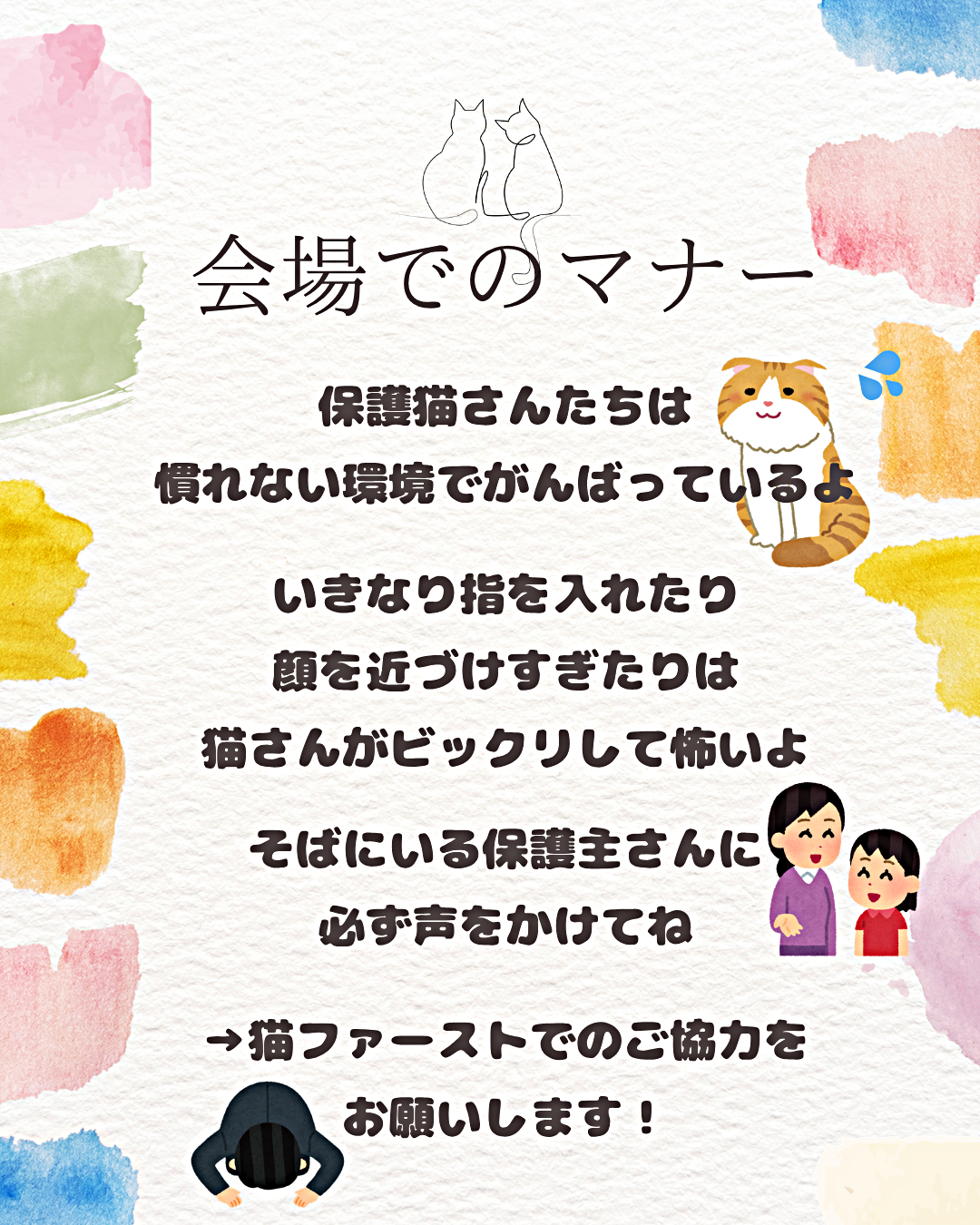 保護猫の譲渡会