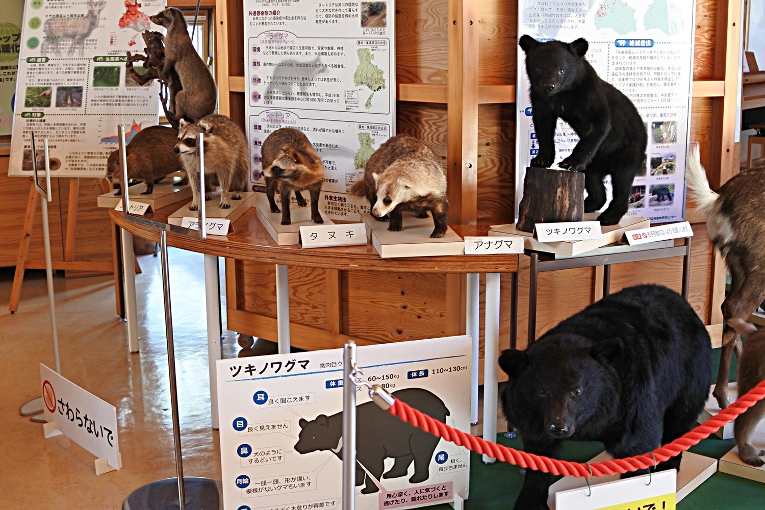 ひょうご環境体験館　　１月特別プログラム　　　１月１２日（月・祝）「野生動物の現状と地球環境」のご案内