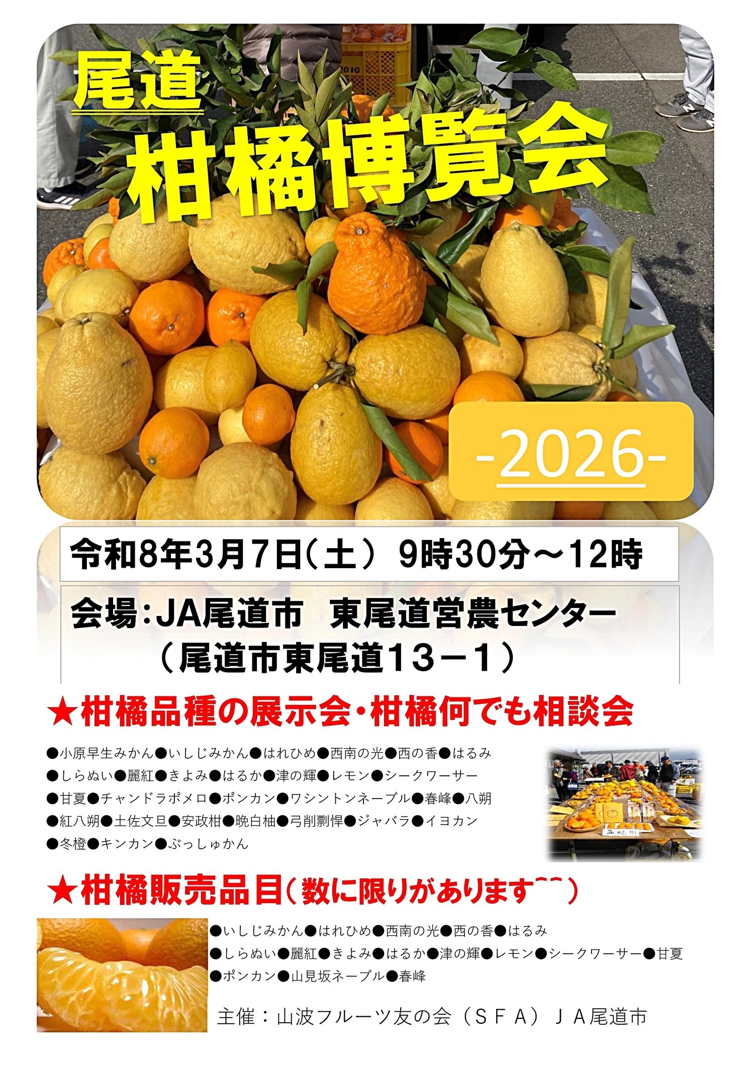 柑橘博覧会-2026-