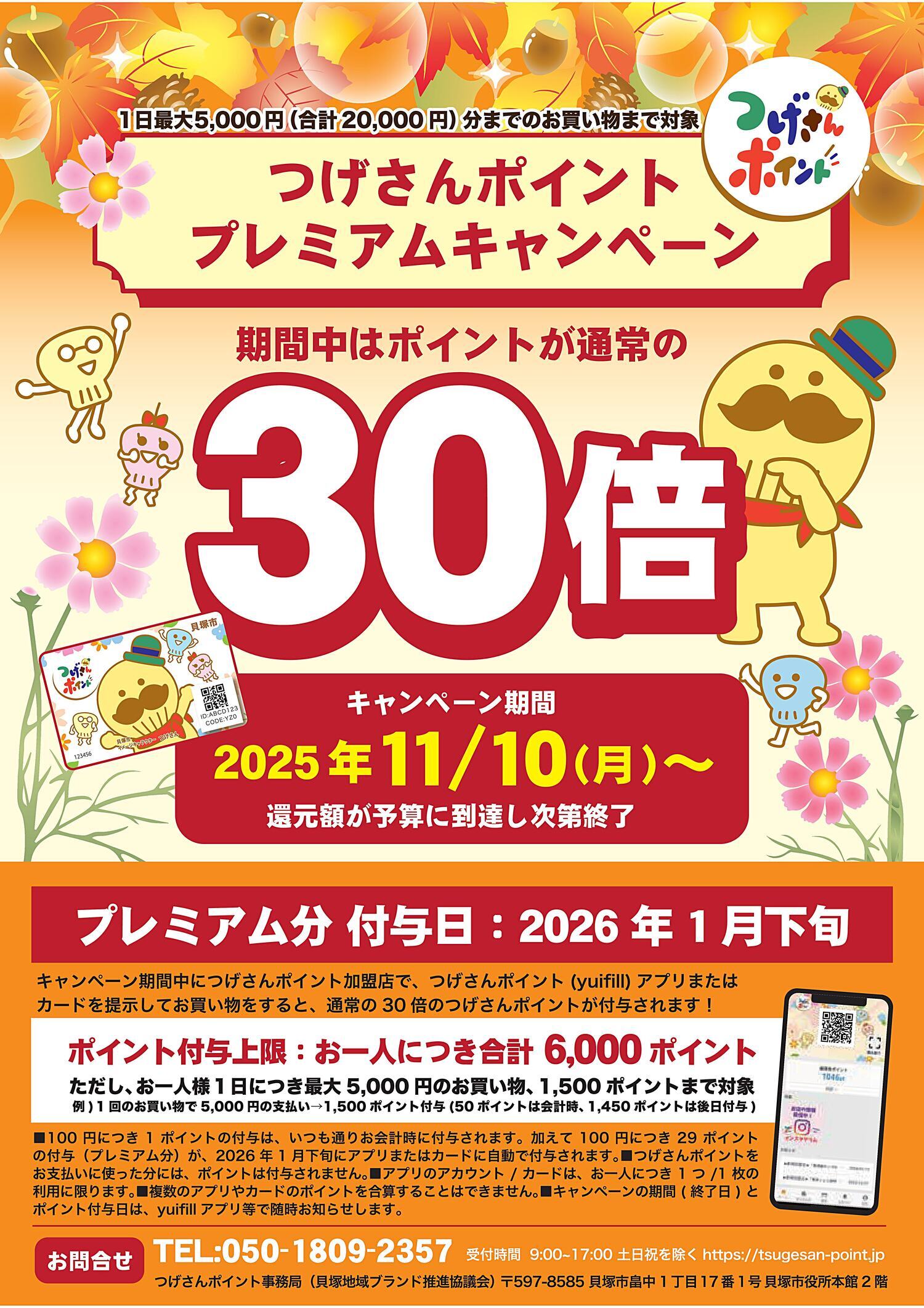 つげさんポイント30倍キャンペーン(11/10から)