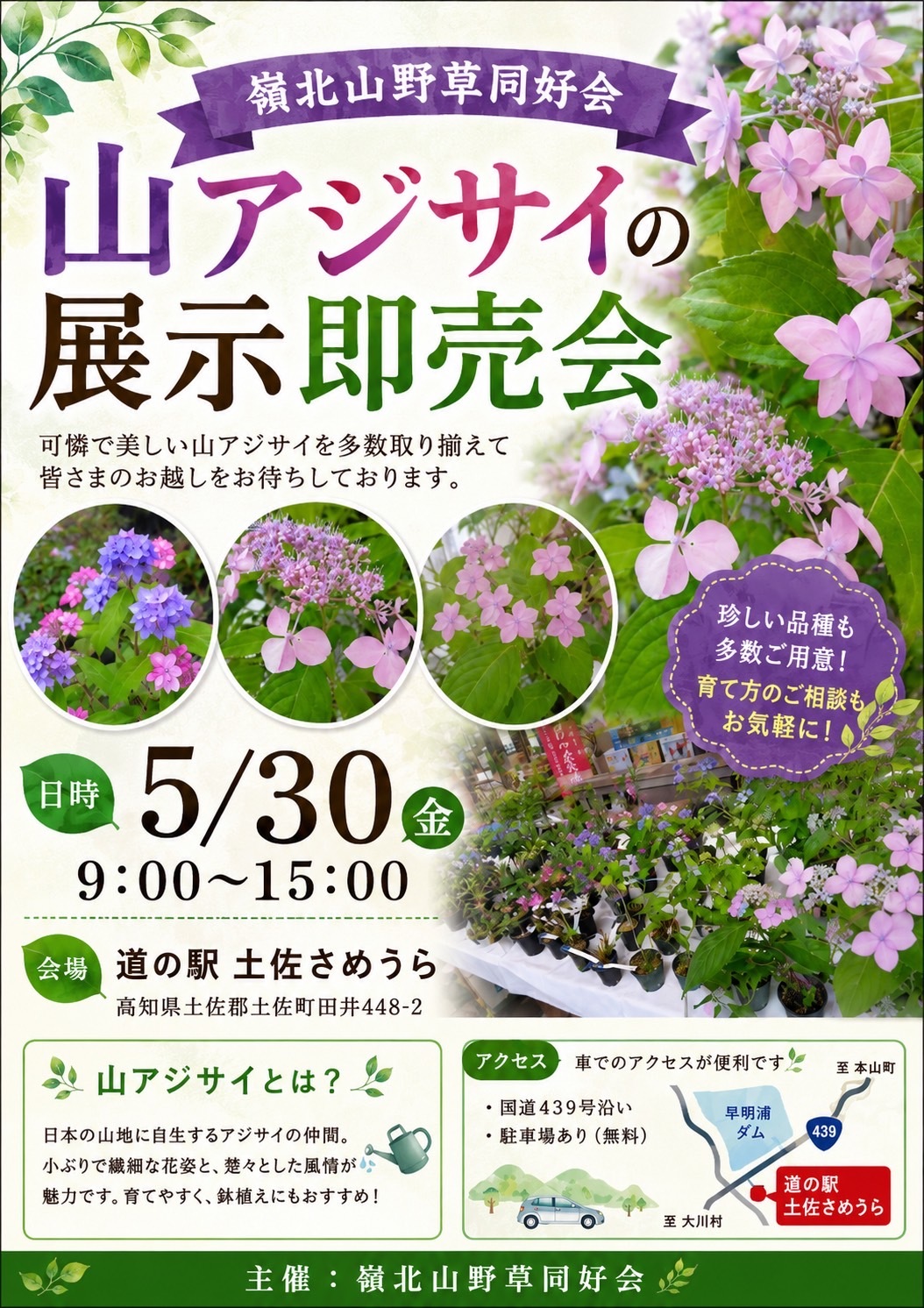 山アジサイの展示即売会