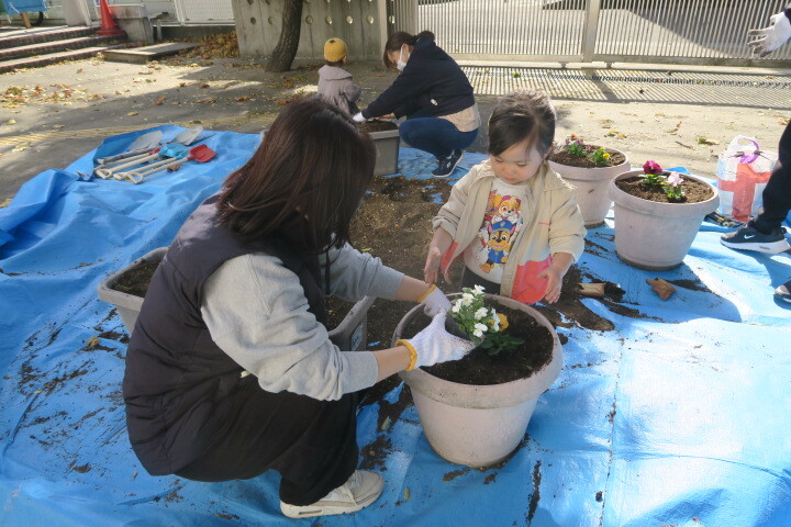ぴよぴよガーデン チューリップの球根を植えよう