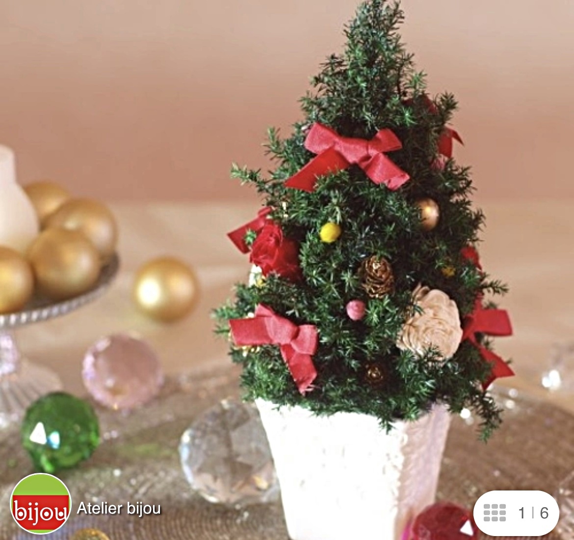 本物の杉でミニクリスマスツリーを作ろう♬子供のみ、親子参加OK！アドラー心理学講師でもある花育の先生が子供の自信とやる気を育てる関わりを大切にレッスンしてます♬