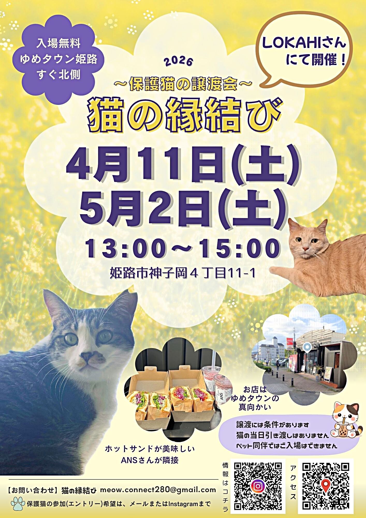 猫の縁結び〜保護猫の譲渡会〜
