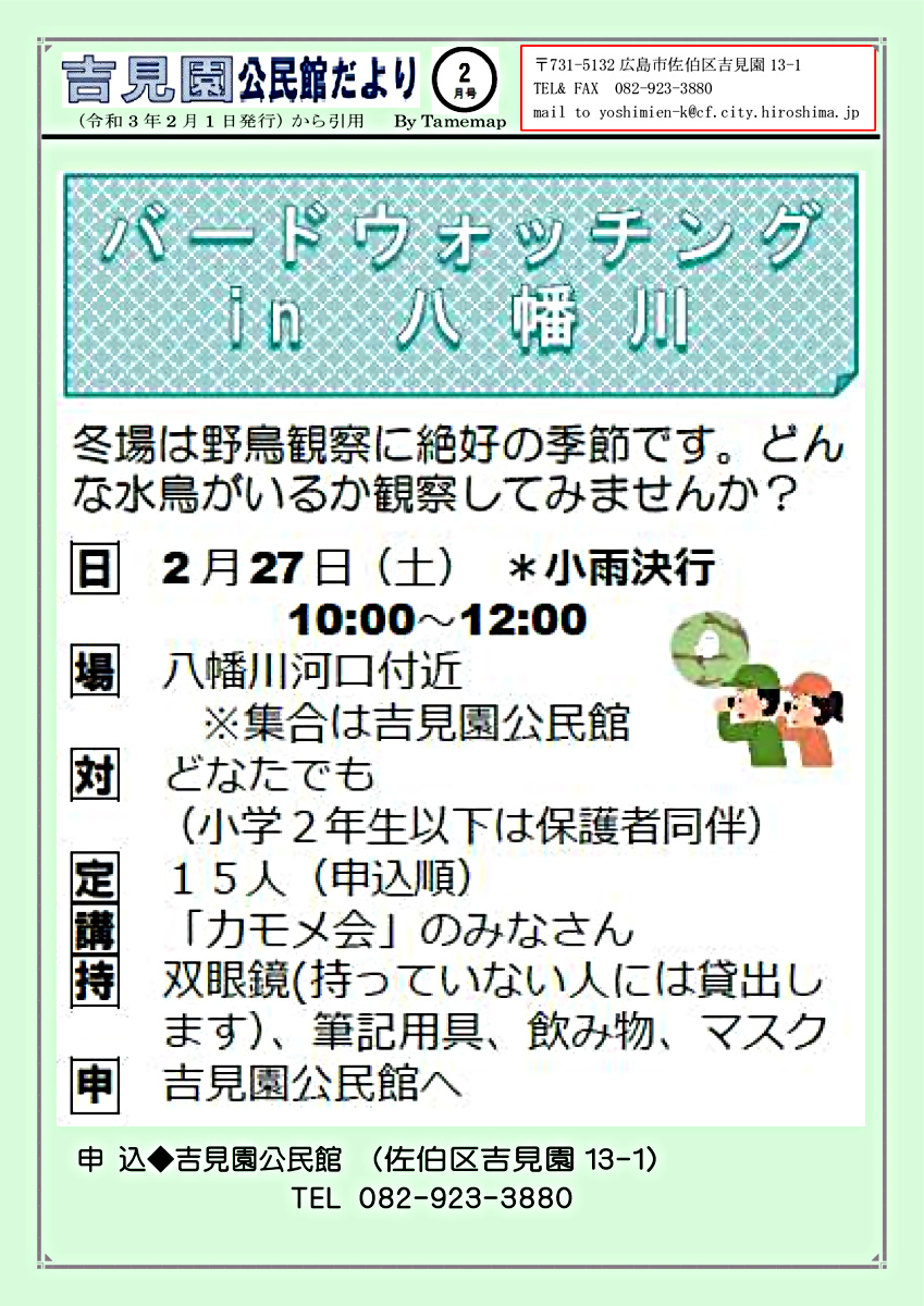 バードウォッチング　in 八幡川