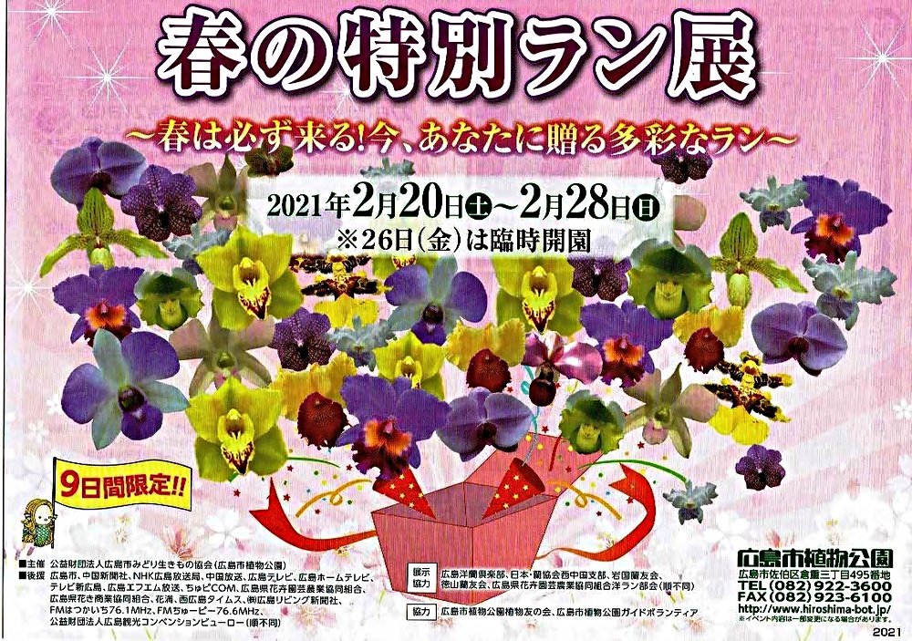 春の特別ラン展