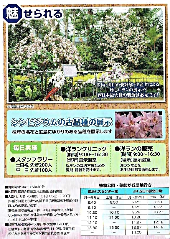 春の特別ラン展