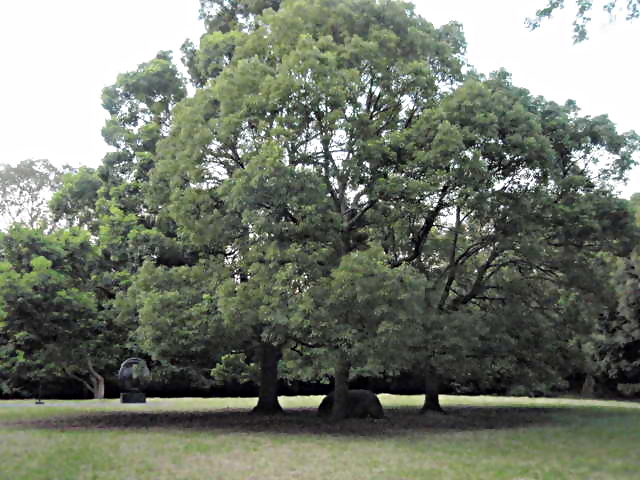 ピラミッド写真展 八潮にピラミッドがあった?!