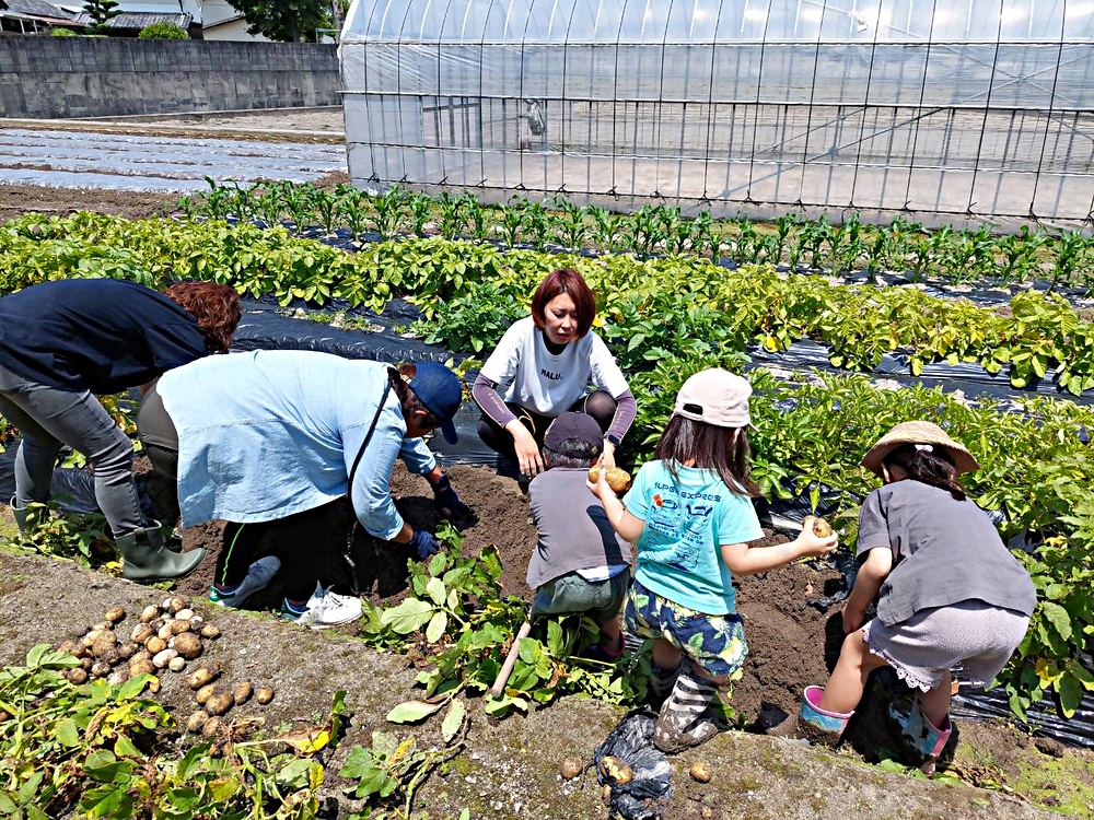 日曜体験農園MALUファーム