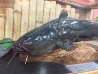 木彫魚の世界