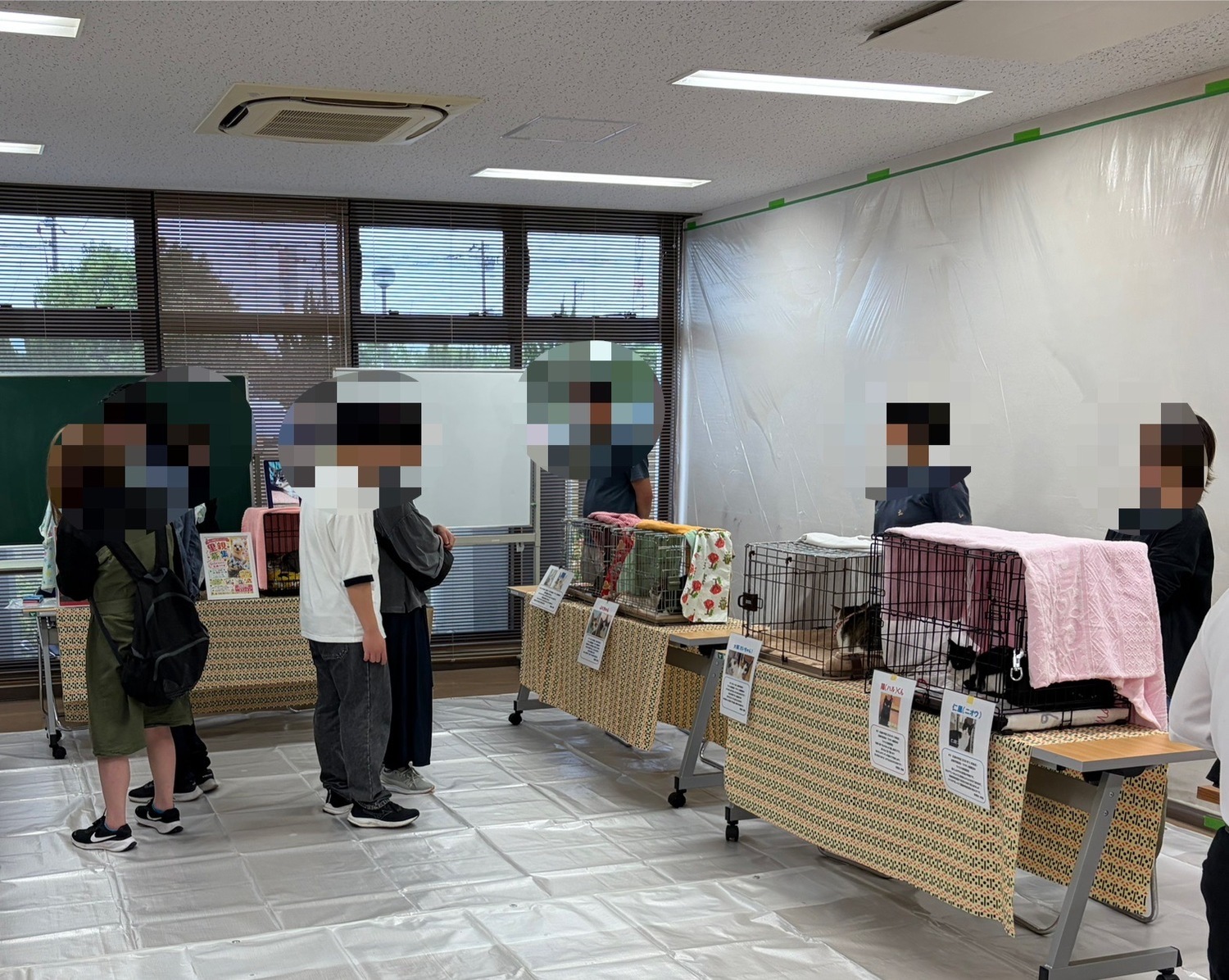 猫の縁結び〜保護猫譲渡会〜