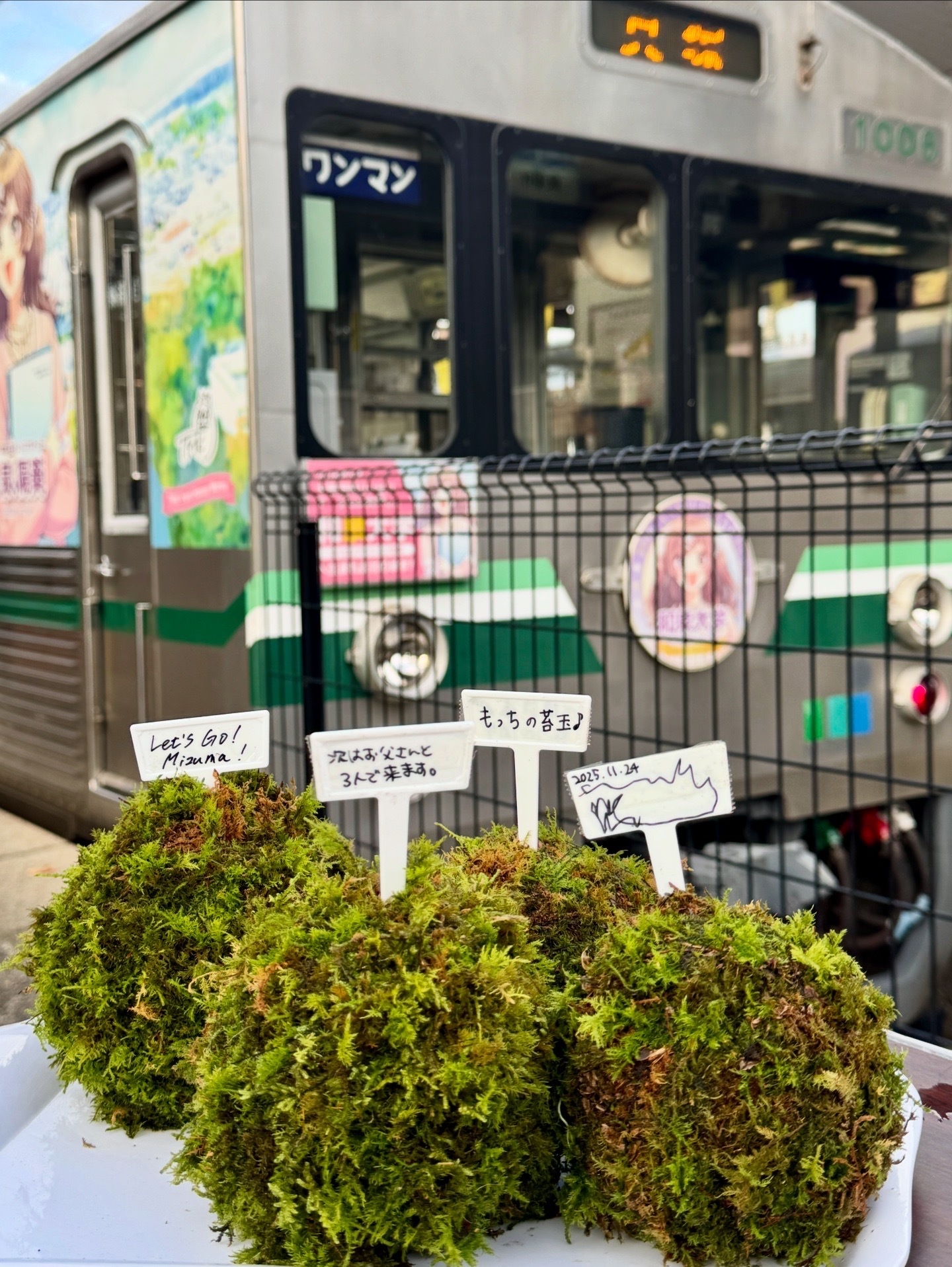 水間鉄道コラボ　手作り苔玉ワークショップ