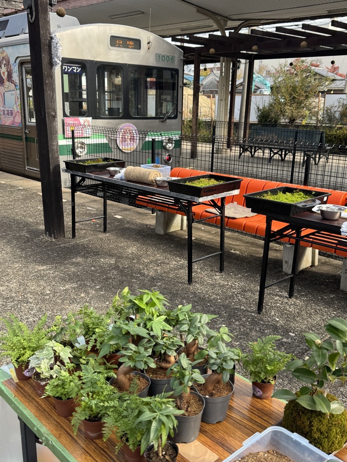 水間鉄道コラボ　手作り苔玉ワークショップ
