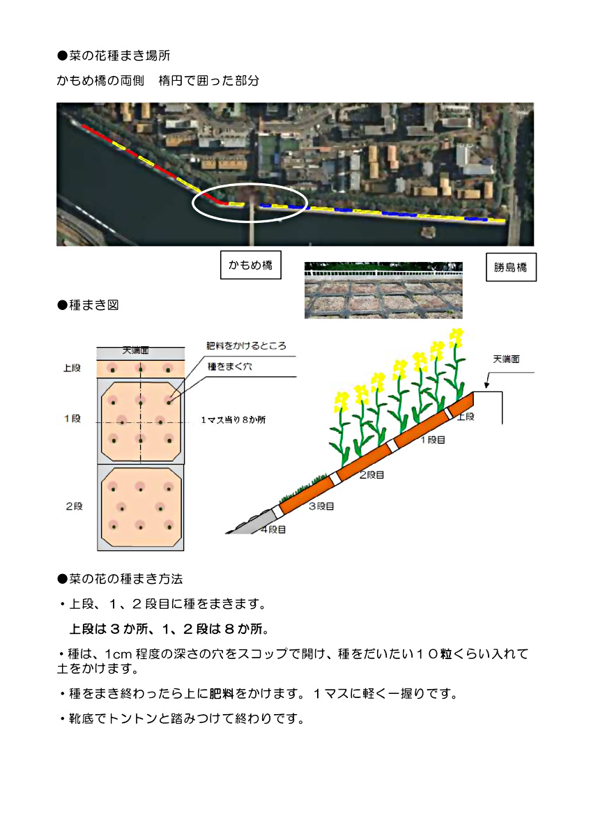 ２０２１年１０月１７日　菜の花種まき協力のお願い