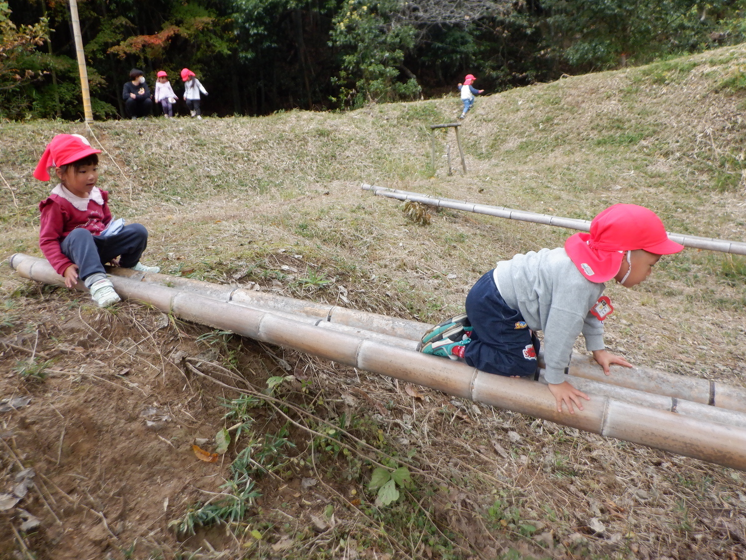 秋のお山で遊ぼう！！