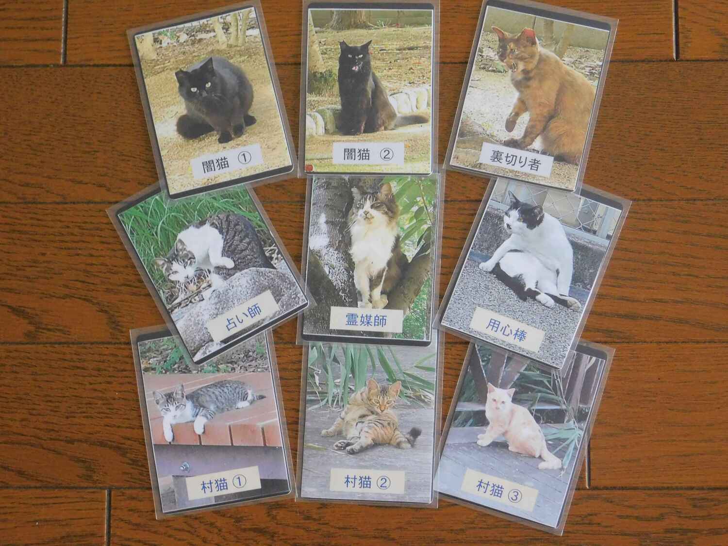 人狼ゲームによる市民交流会/姫路