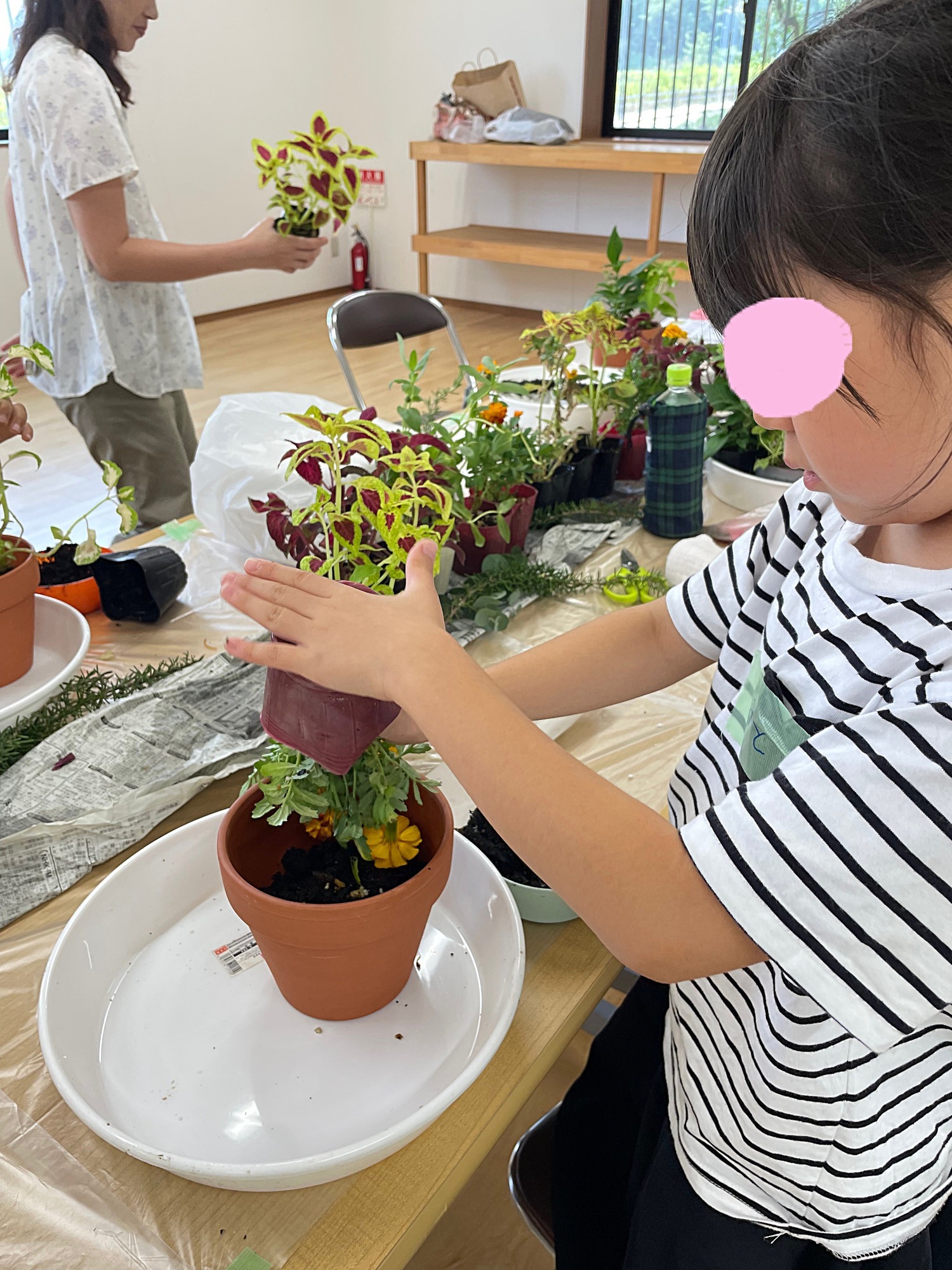 命を感じるはなえみクラブ「ひまわりの草木染め体験&無農薬無肥料の菌ちゃん農法家庭菜園体験」