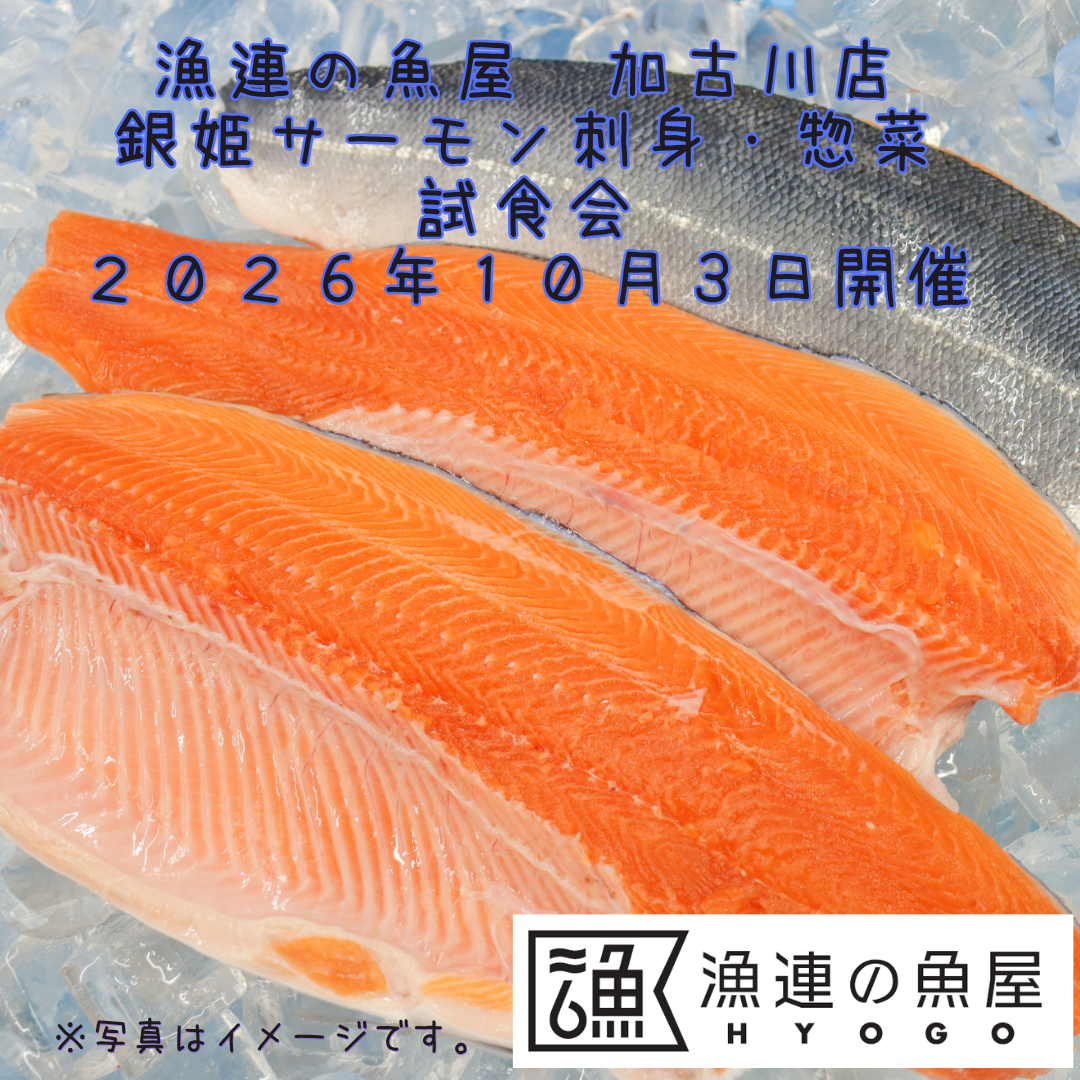 漁連の魚屋 加古川店 銀姫サーモン刺身・惣菜 試食会