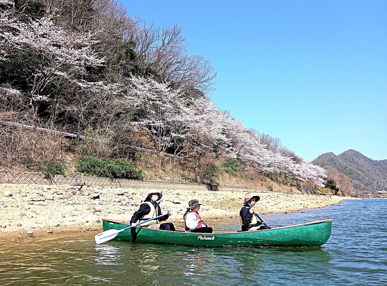 もう、桜は満開！千丈寺湖　お花見カナディアンカヌーツーリング
