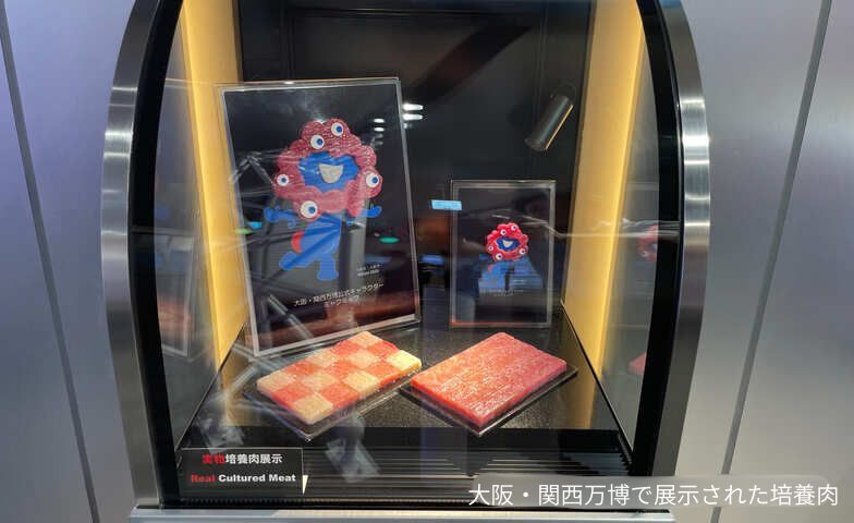 サイエンスカフェ「未来の食を考える」