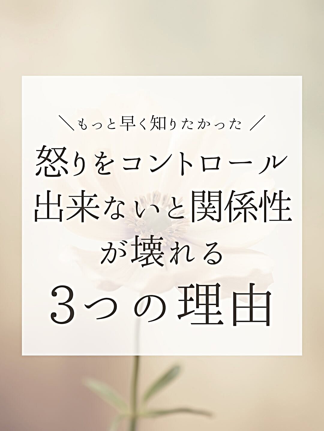 アンガーマネージメントセミナー