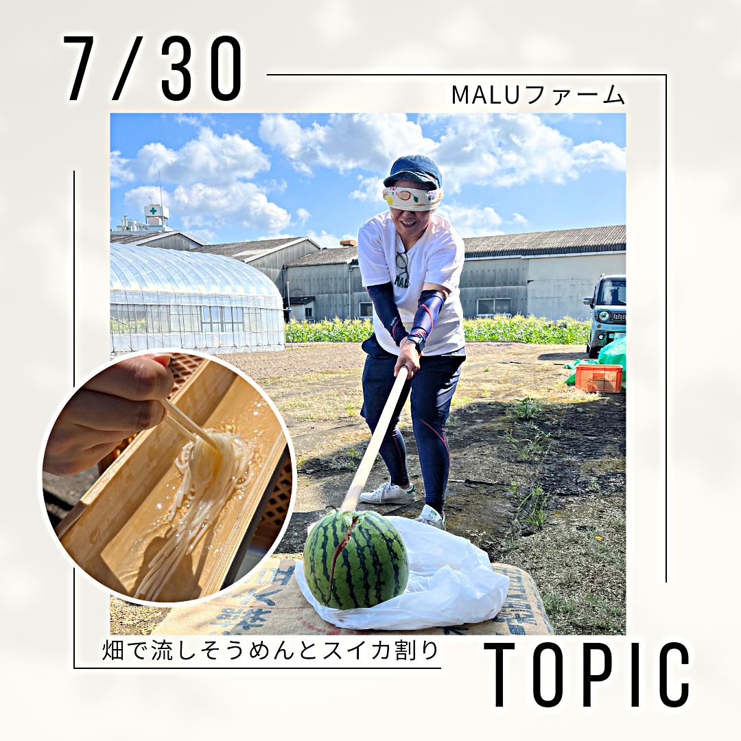 畑で流しそうめんとスイカ割り♪