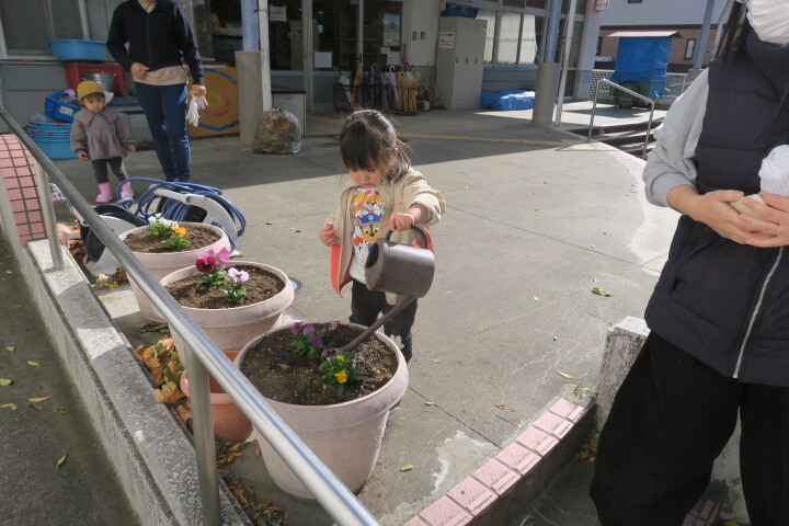 ぴよぴよガーデン チューリップの球根を植えよう