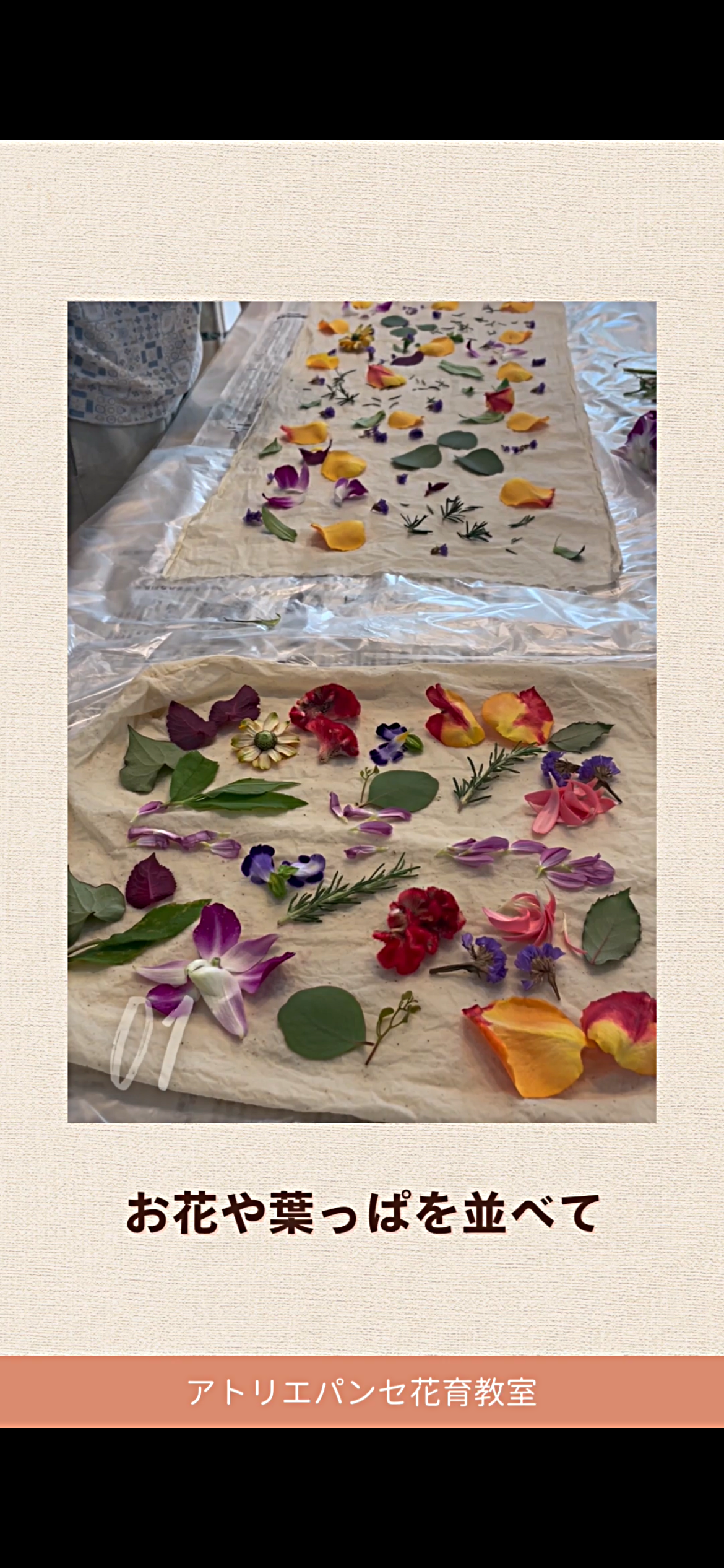 夏休み花育体験！植物の蒸し染めバンドルダイ体験🎵参加者募集中🎵