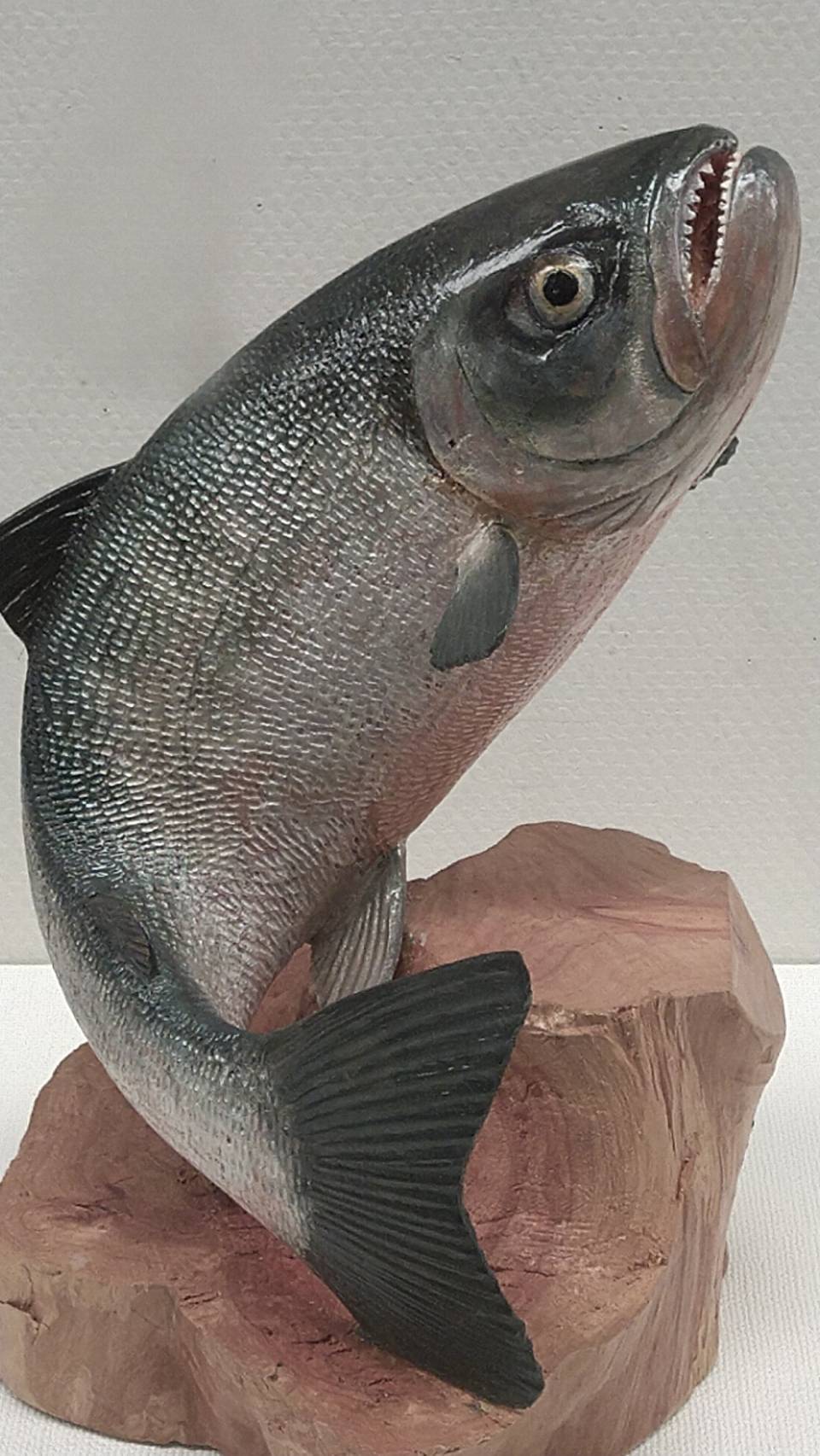 木彫魚の世界