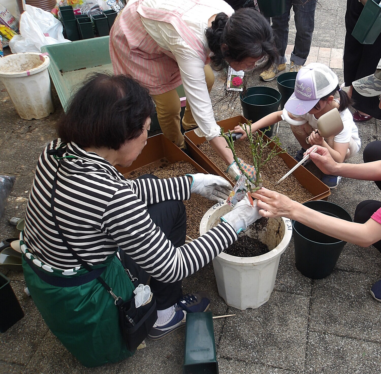 中野区花と緑の祭典２０２５秋