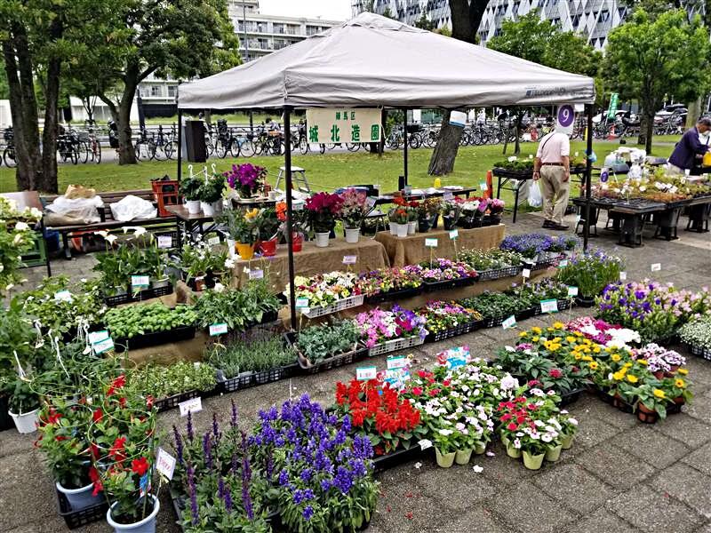 中野区花と緑の祭典２０２５秋