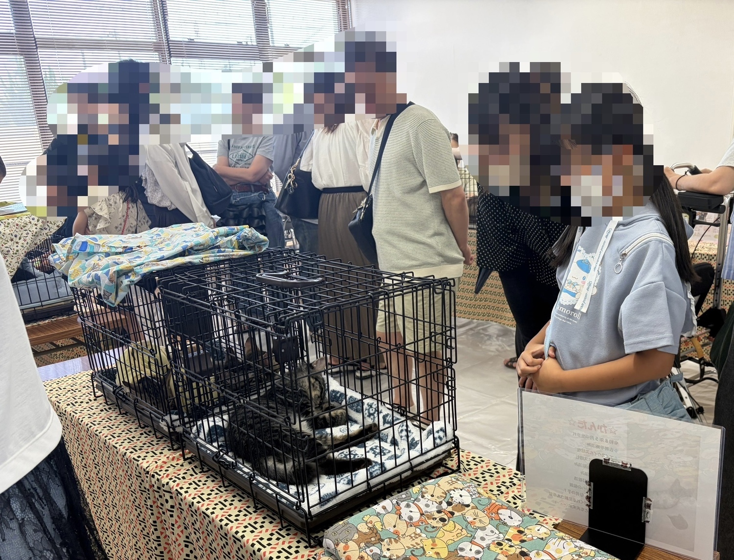 猫の縁結び〜保護猫譲渡会〜