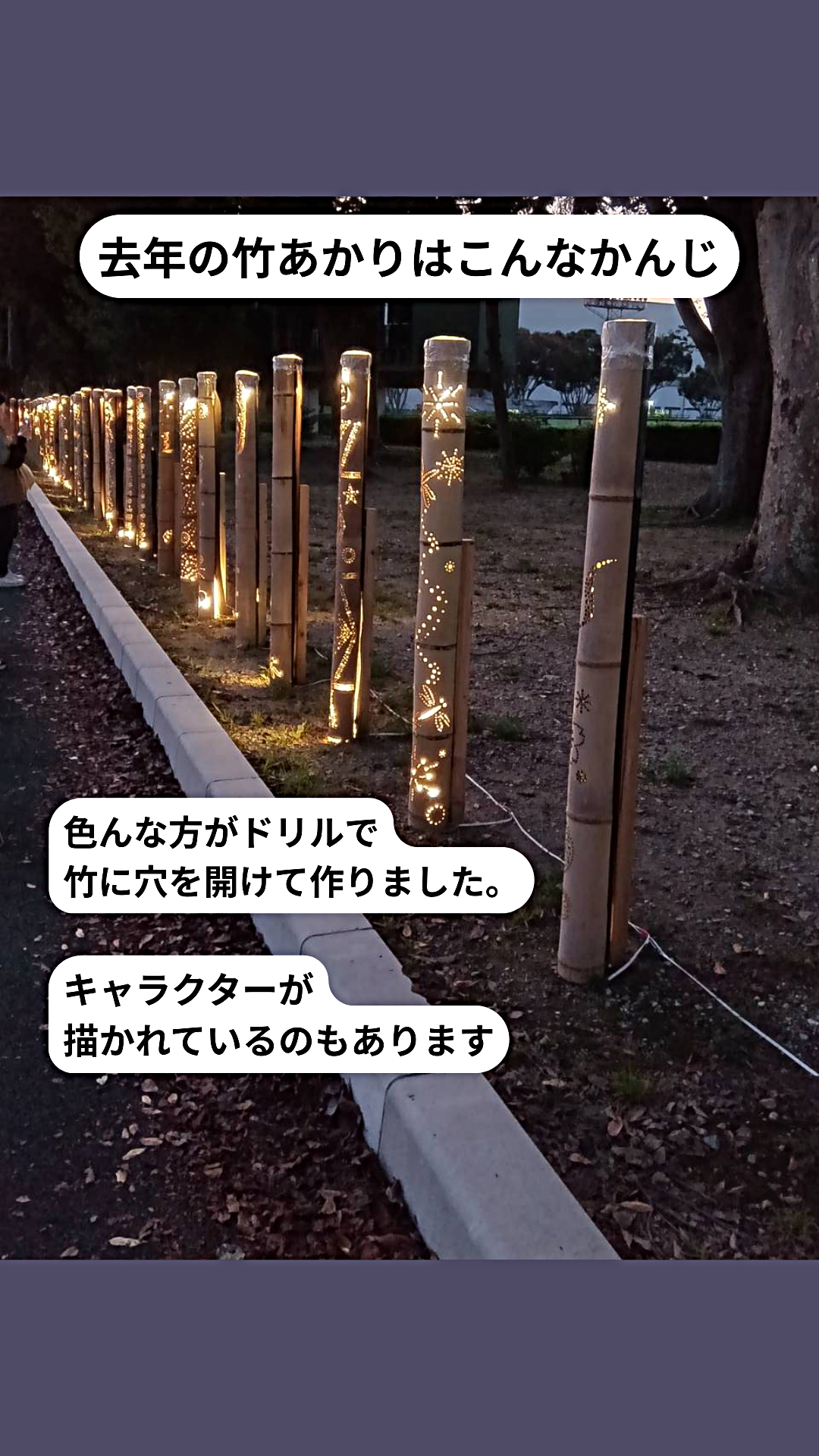 １０月４日から桜トンネルにおいて竹あかりの幻想的な明かりを楽しんでください