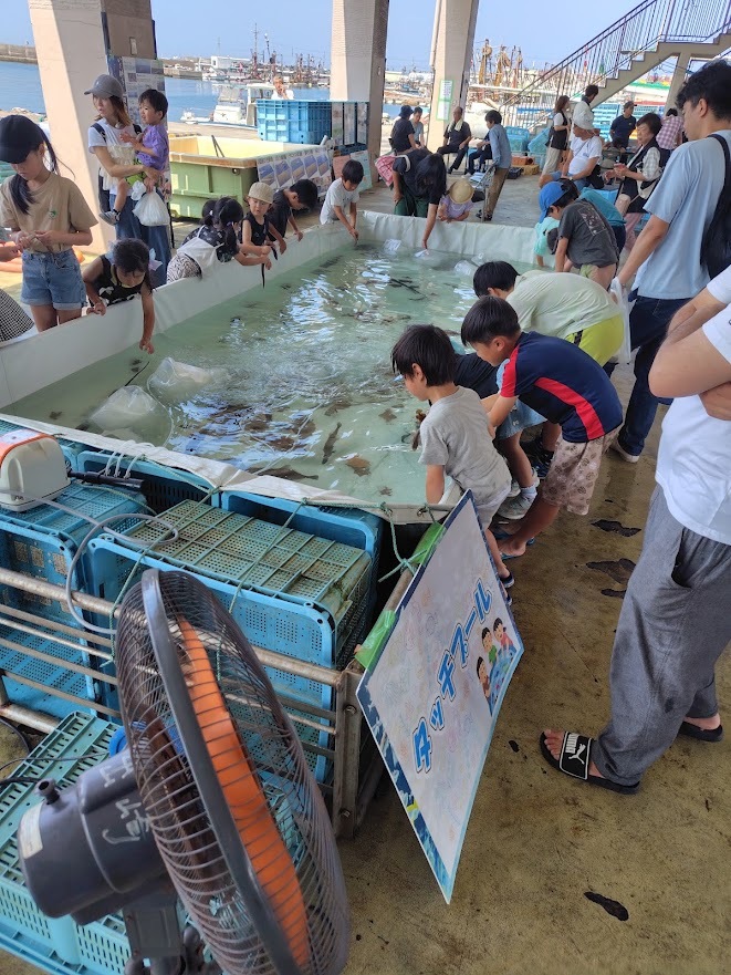 釣って！触って！親子で学ぼう 明石ダコ体験