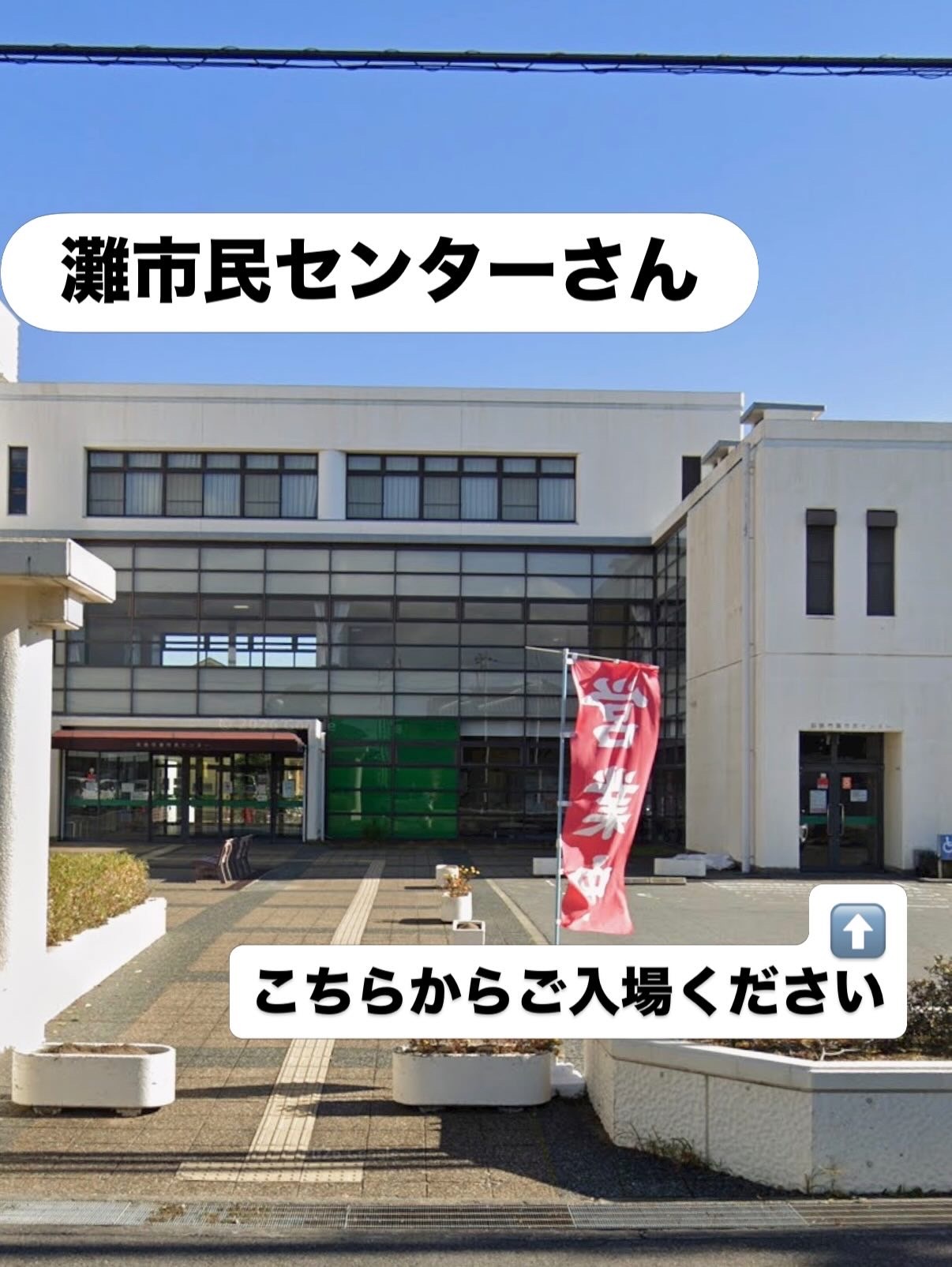 猫の縁結び〜保護猫譲渡会〜