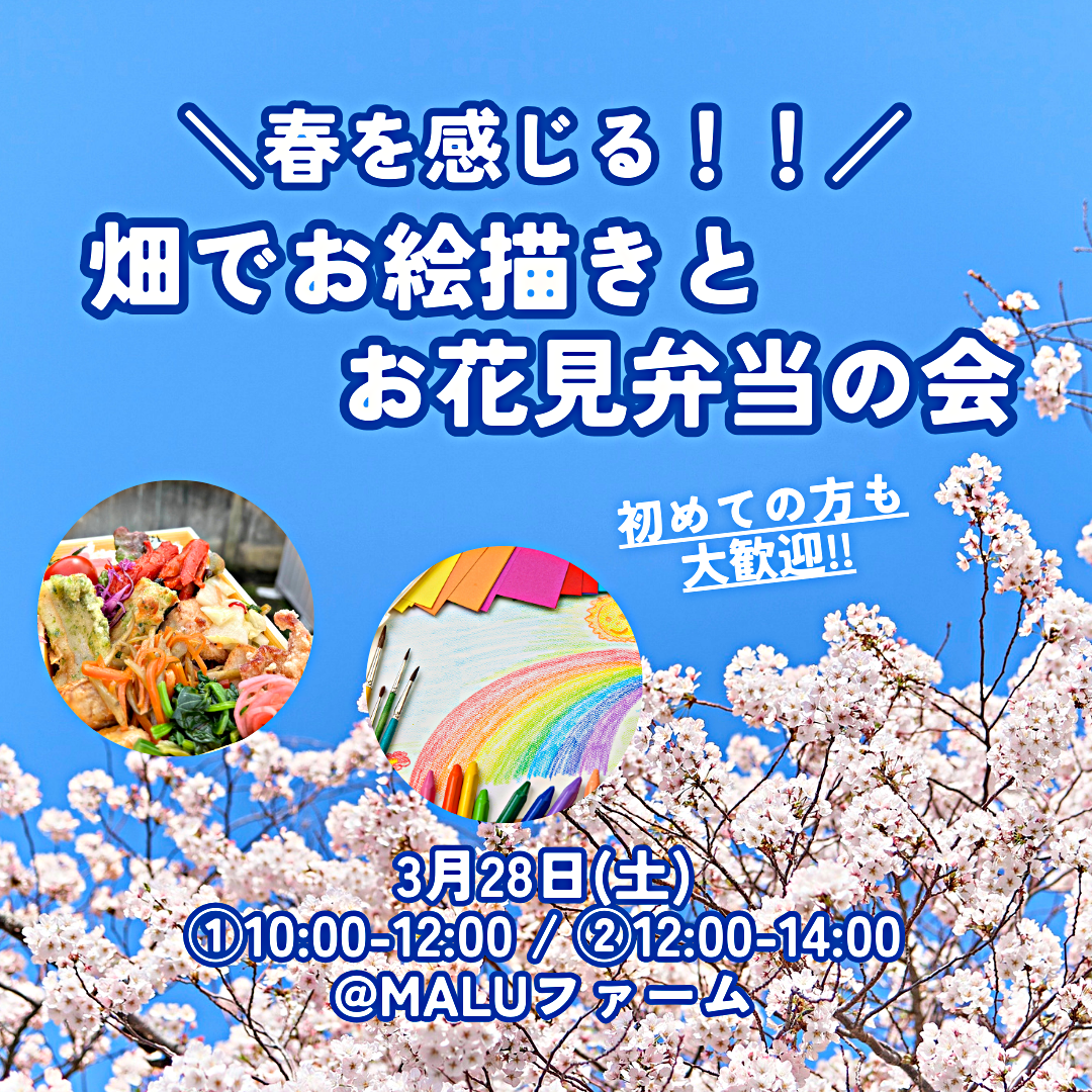 畑でおえかきとお花見弁当の会🌸
