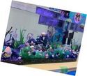 ふれあい移動水族館
