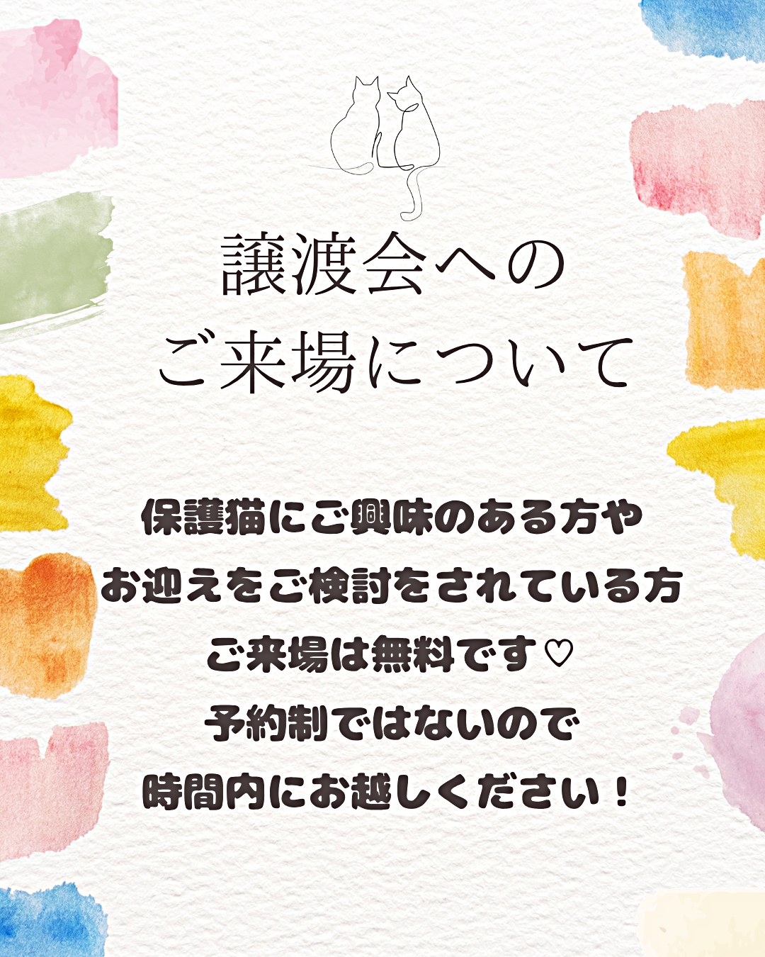 保護猫の譲渡会
