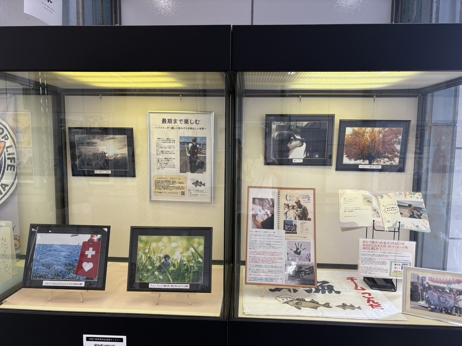 ルミナリエで彩るHOPE&こんだけんじ写真展
