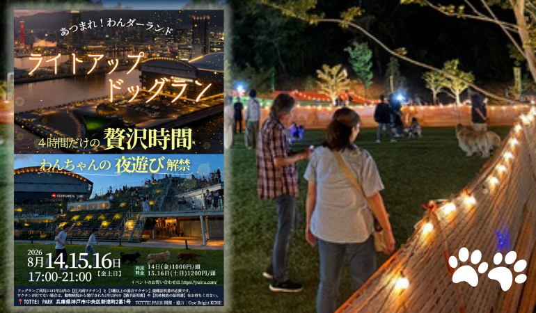 わんちゃんと一緒に夜あそび！「ライトアップドッグラン」
