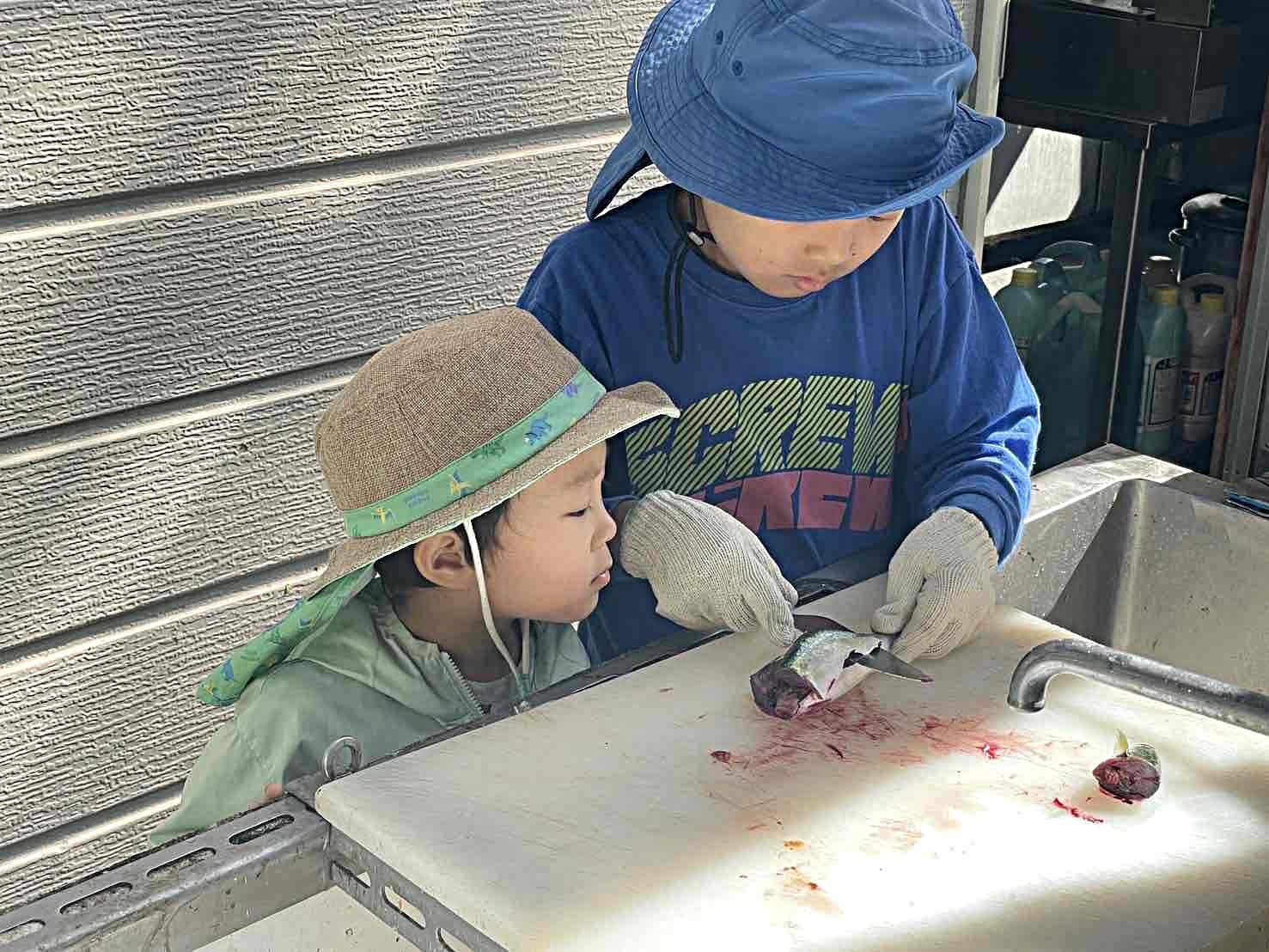 尼崎の海で行う「食育・環境・循環」の学習