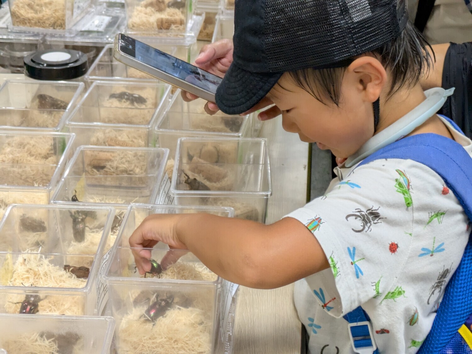 バグズカンタービレ♪～昆虫の祭典～