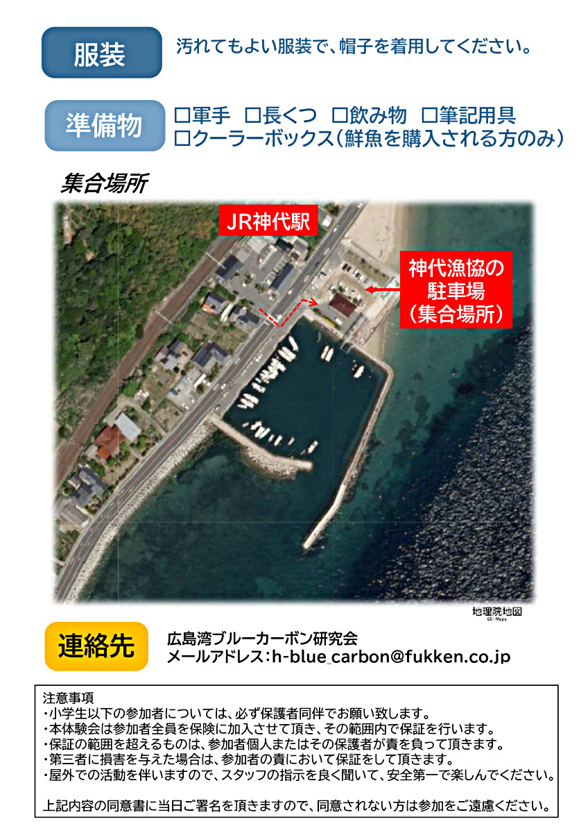 （広島湾ブルーカーボン研究会）アマモの種まき体験会