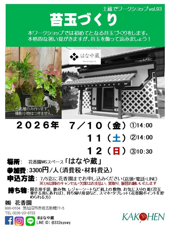 苔玉づくり