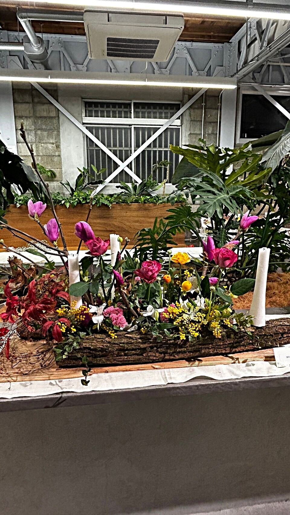 春の花爛漫の会場で季節の花を親子で楽しみませんか♫

大人の生徒の皆さんと花育の子供達、総勢40名以上のみなさんで会場を花で彩ます。

入場料無料。室内開催なので雨でも楽しめます。

28日の夜はリレーフォーライフと共催してルミナリエで会場をライトアップ。
29日は水間寺春フェスタも開催。花育体験会も開催しています。1500円で好きなだけ好きなお花をアレンジできるこの企画は毎回大人気で、花がなくなり次第終了します。15時よりピアノ生演奏もあり。是非遊びにきてね。