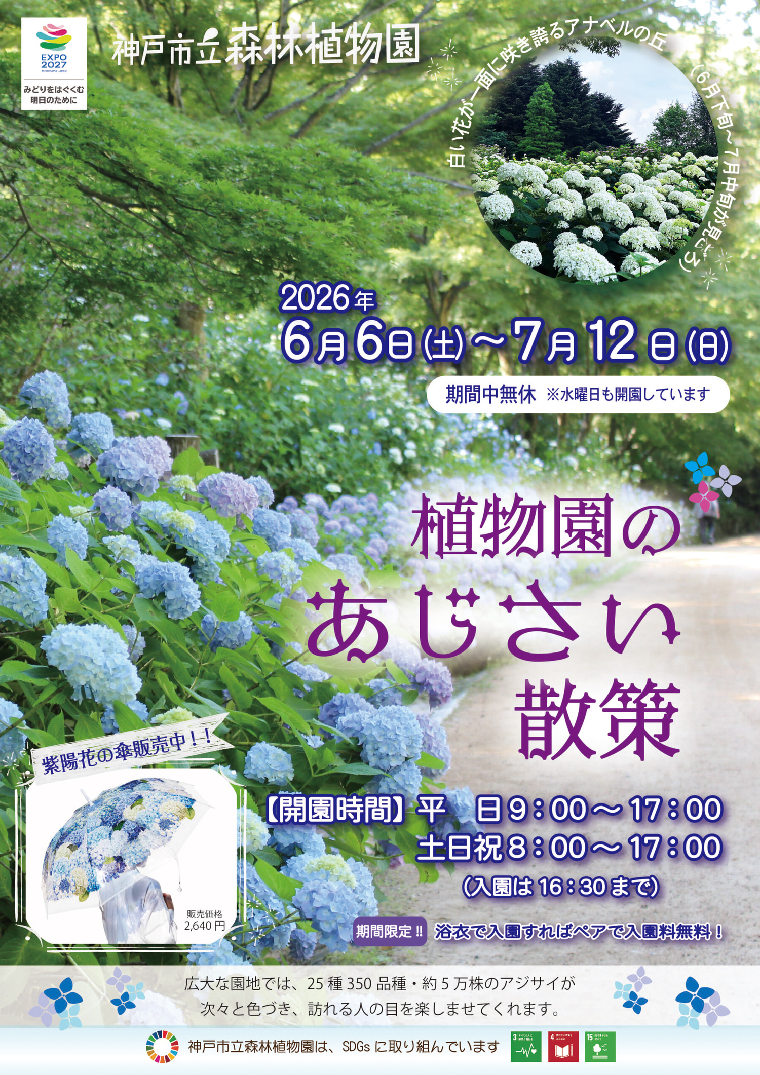 植物園のあじさい散策